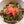 Protein Rice Gyudon Beef Bowl