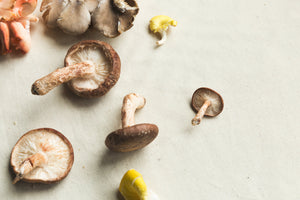image of mushroom varieties